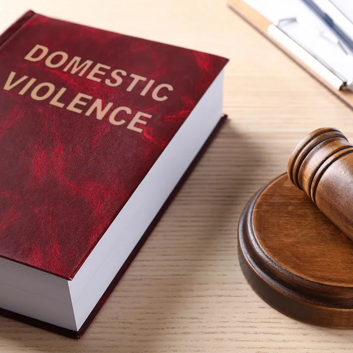 What Counts As Domestic Violence Under Texas Law?